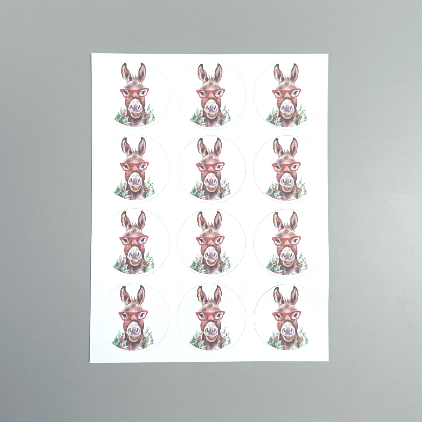 Holiday Donkey in Glasses Note Card Set
