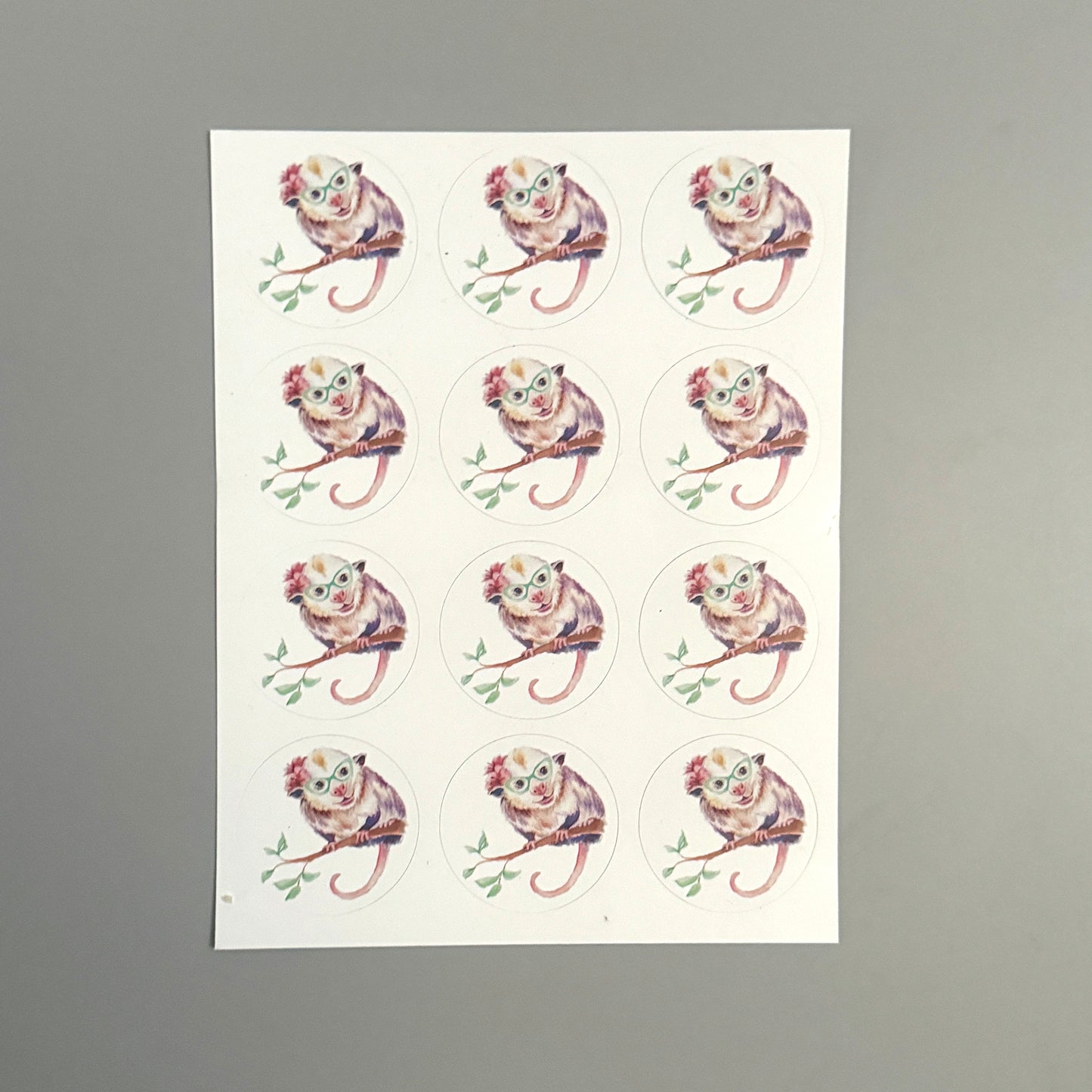 Opossum in Glasses Note Card Set