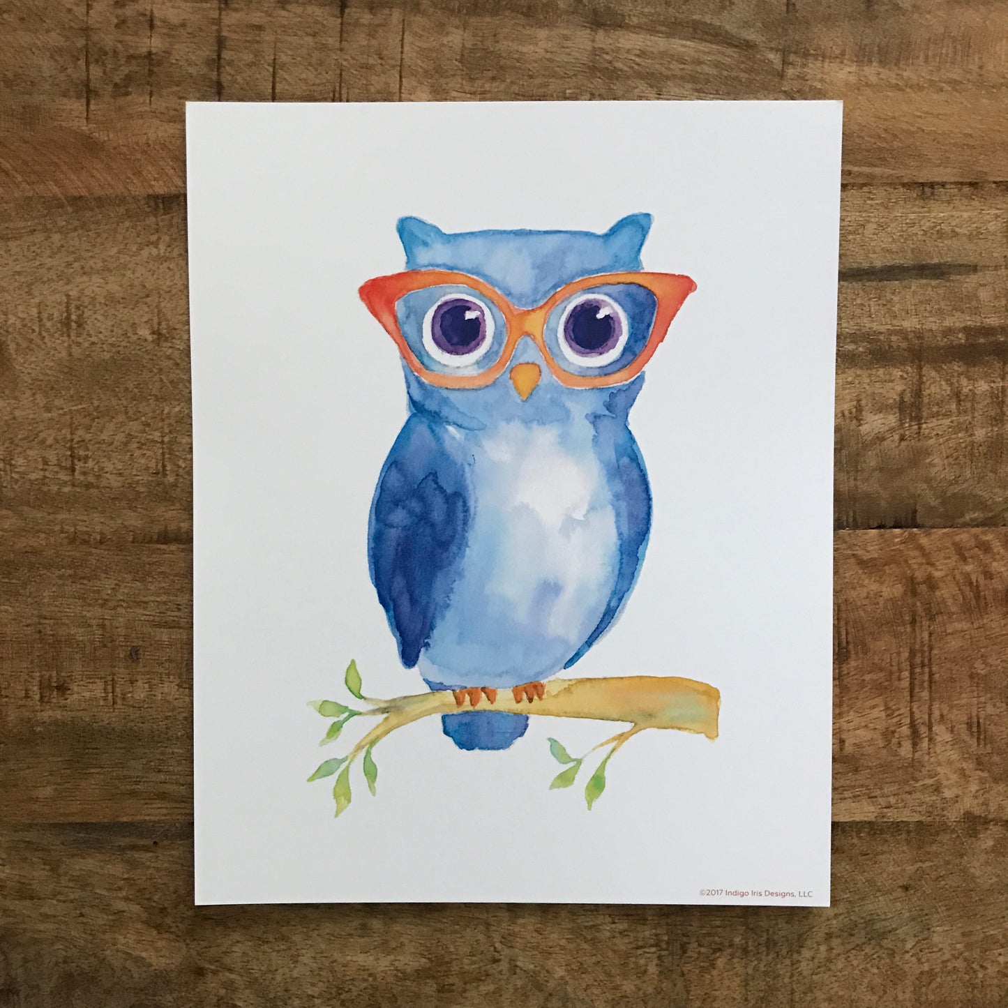 Owl in Glasses Print