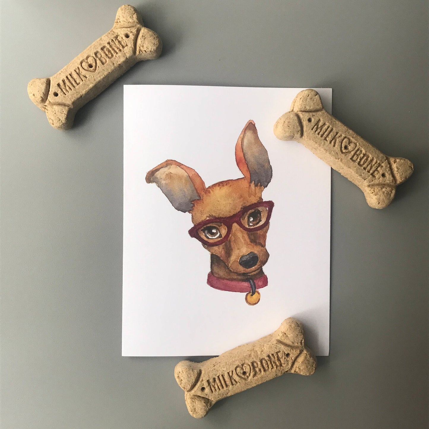 Dogs in Glasses Note Card Set