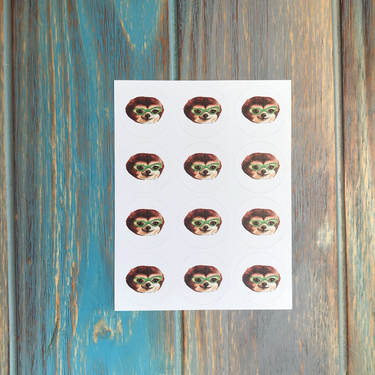 Sloth in Glasses Note Card Set