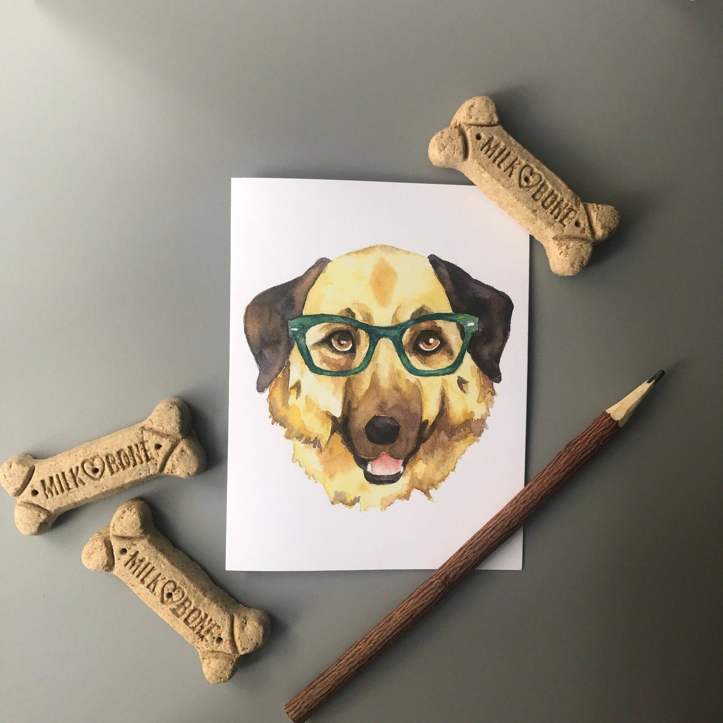 Dogs in Glasses Note Card Set