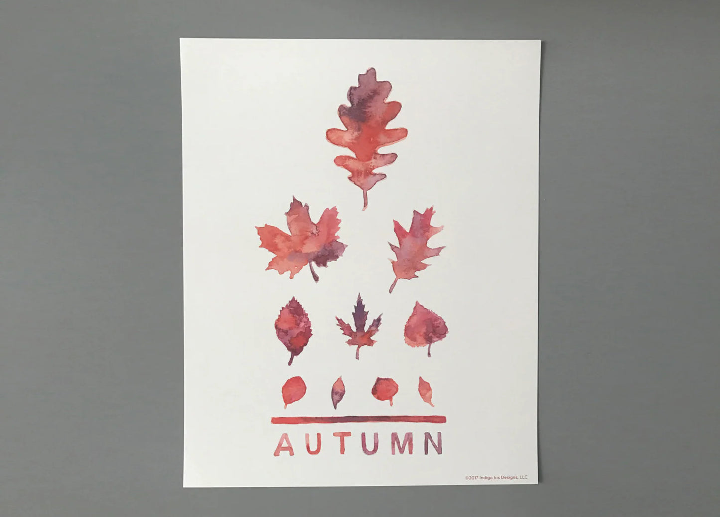 Individual Season Eye Chart Print