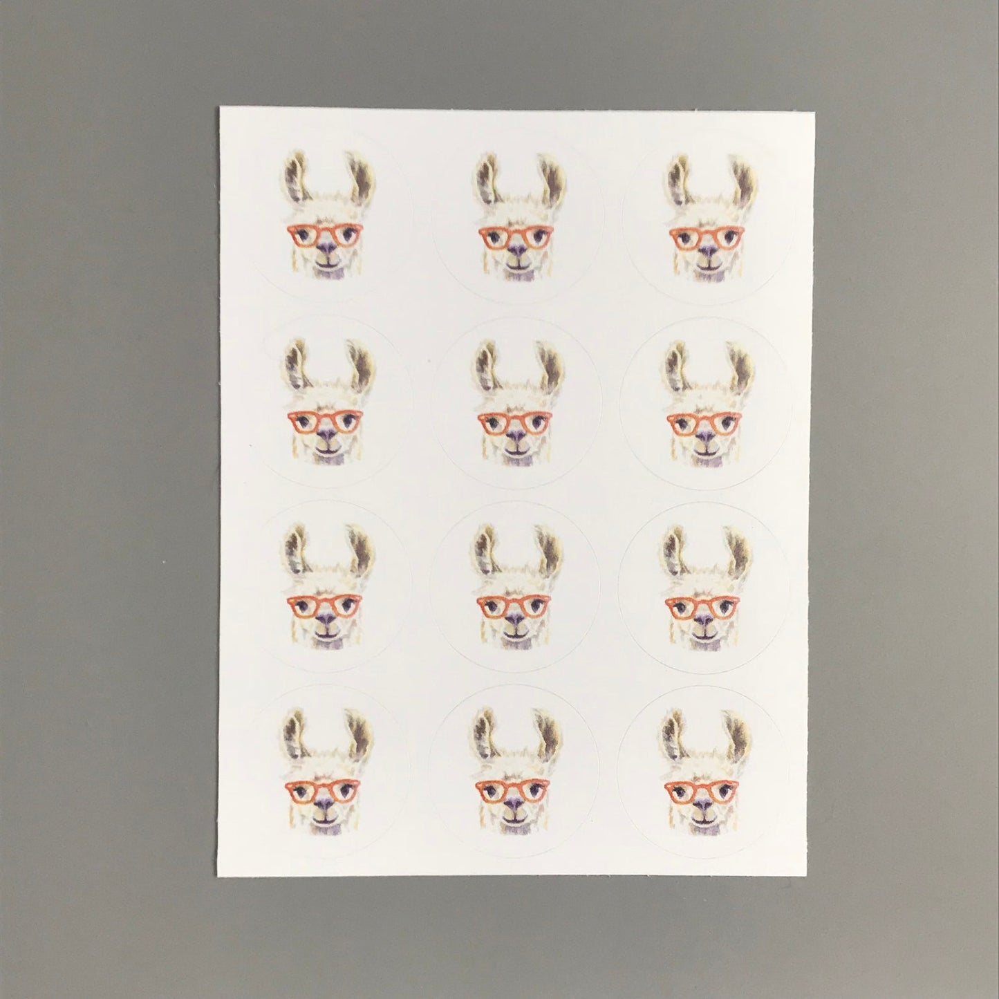 Llama in Glasses Note Card Set