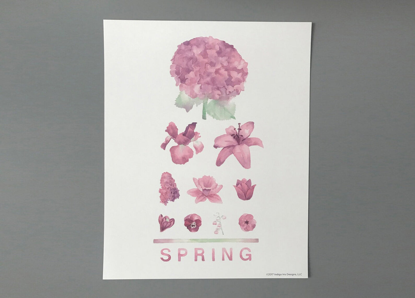 Individual Season Eye Chart Print
