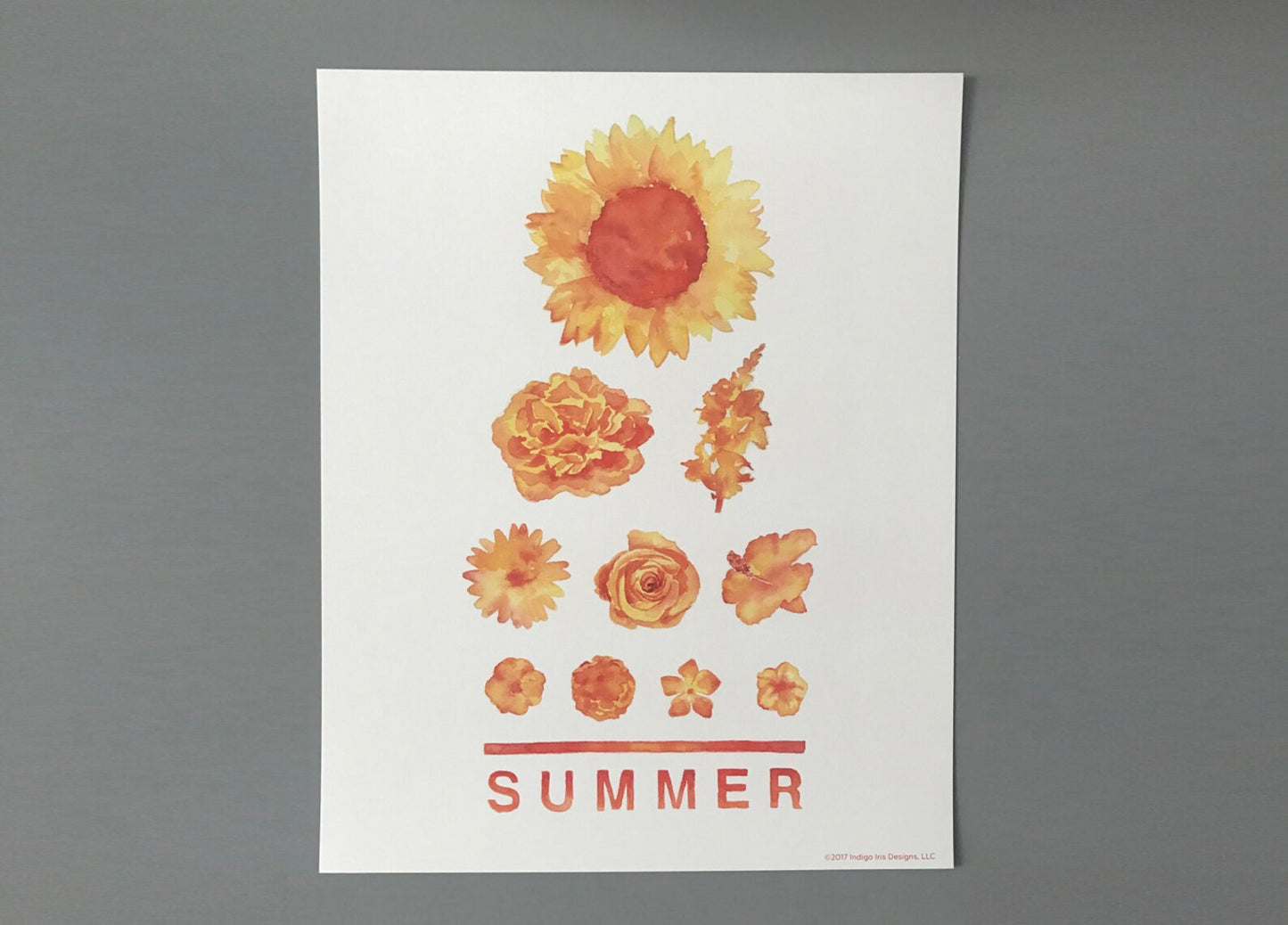 Individual Season Eye Chart Print
